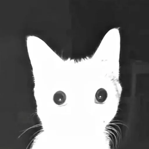 FrostByte